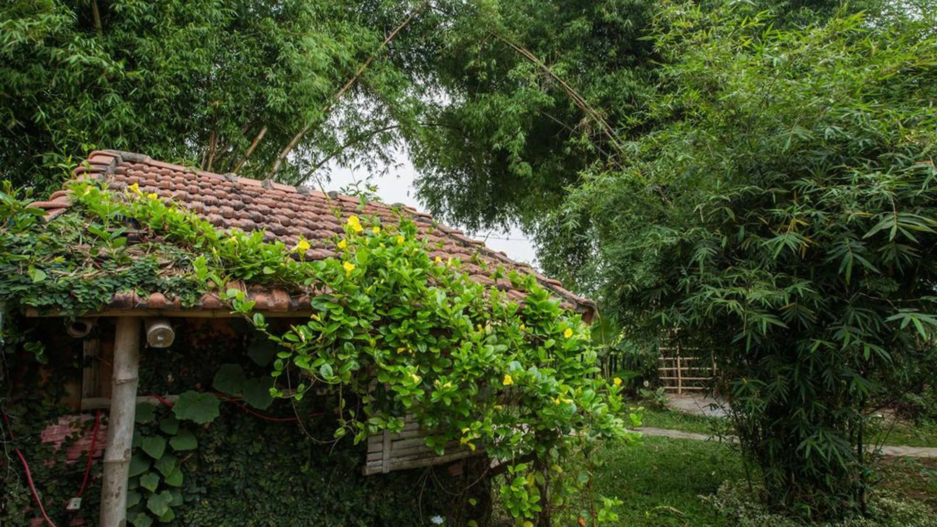 La Terrazza Bed and Breakfast Hội An Bed & Breakfast