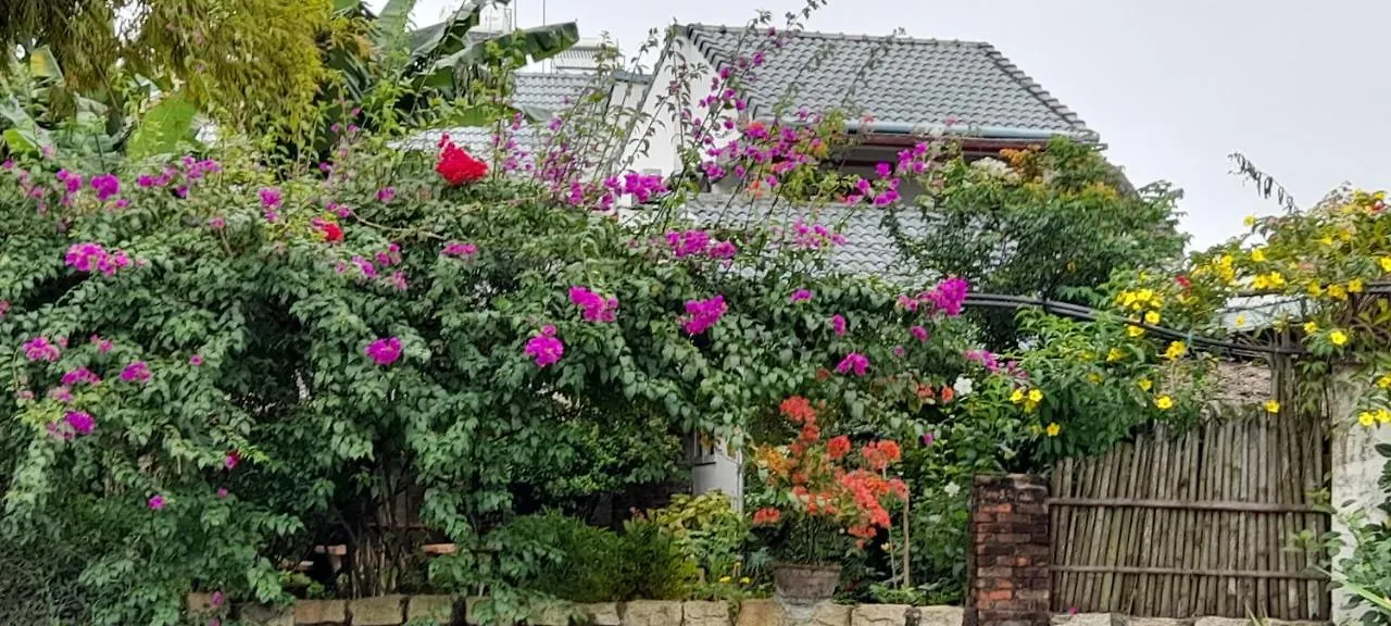 La Terrazza Bed and Breakfast Hội An 2*,