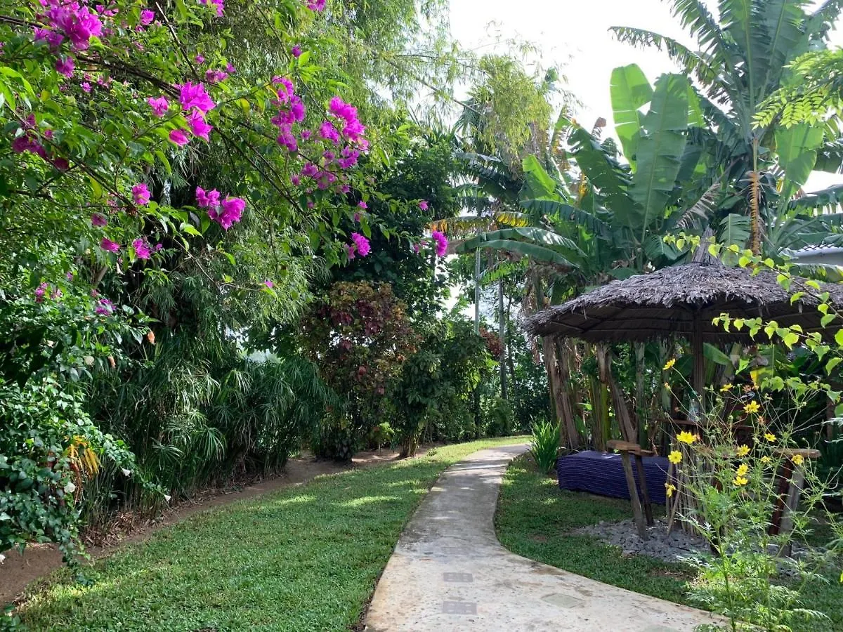 Bed & Breakfast La Terrazza Bed and Breakfast Hội An