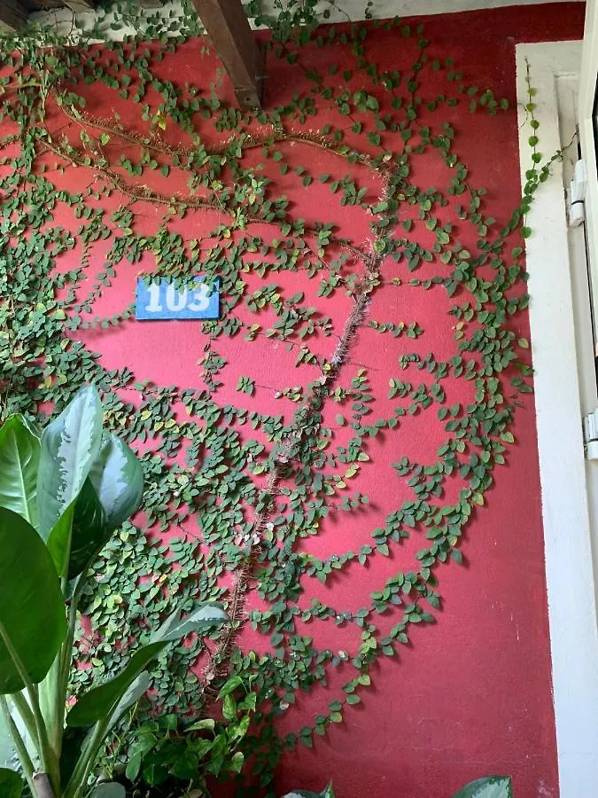 ** Bed & Breakfast La Terrazza Bed and Breakfast Hội An Vietnam