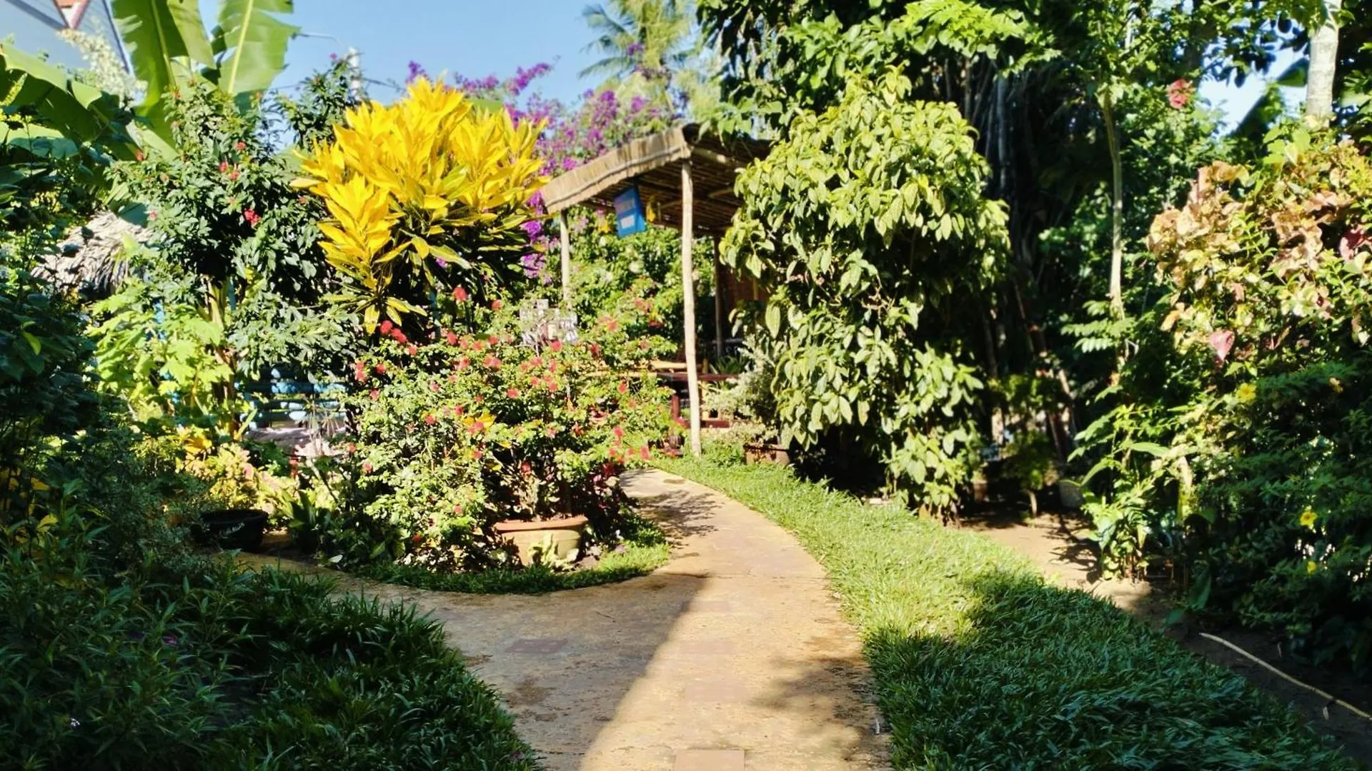 La Terrazza Bed and Breakfast Hội An