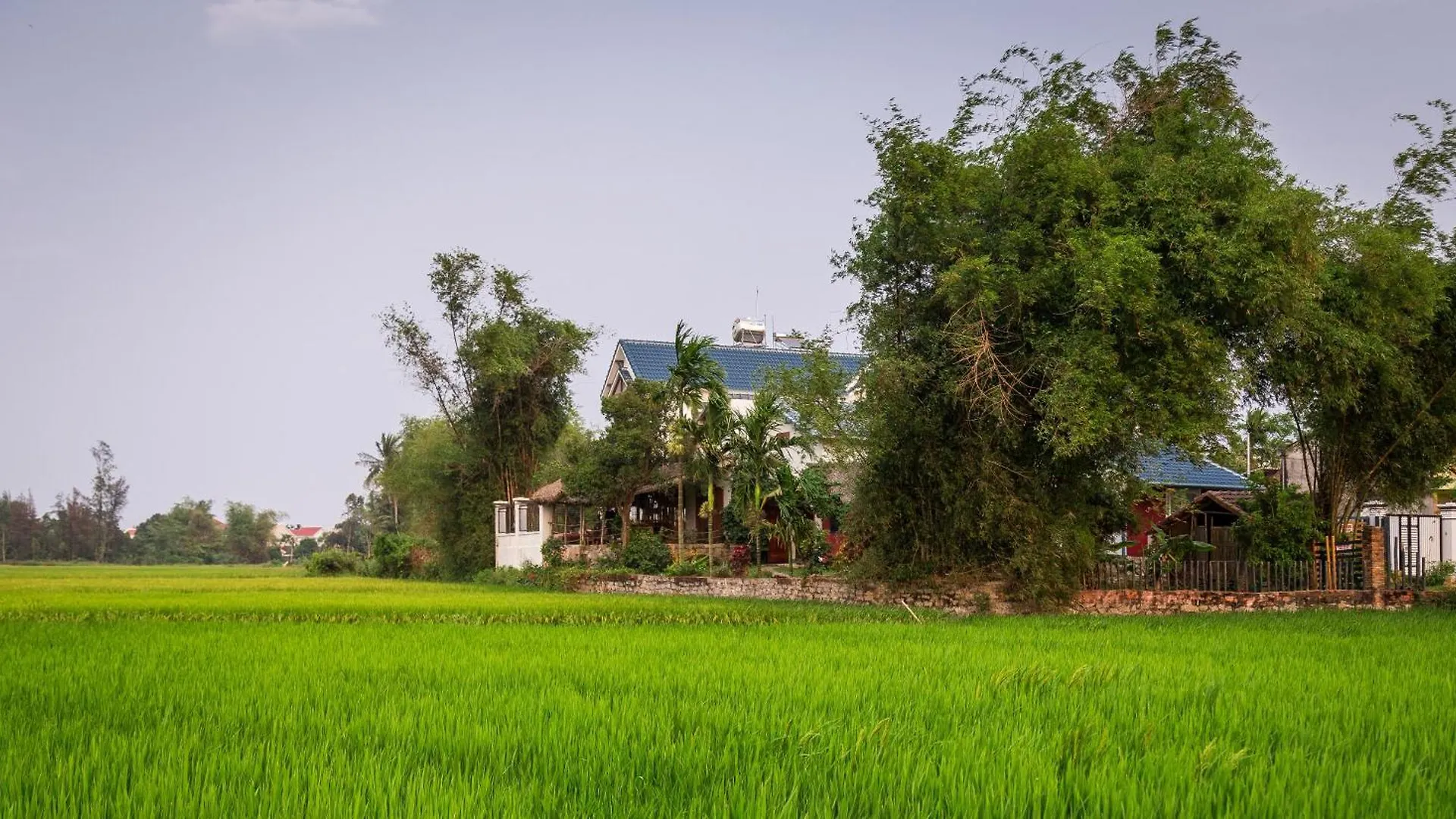 Bed and Breakfast La Terrazza Hoi An