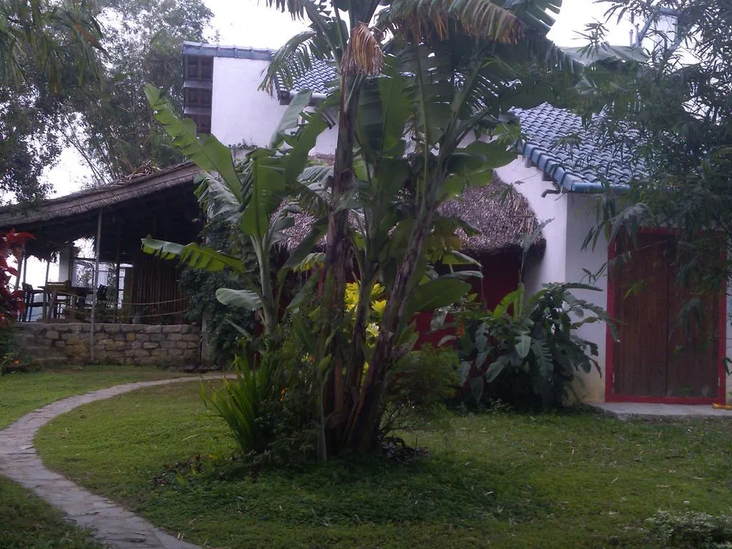 Bed and Breakfast La Terrazza Hoi An Bed & Breakfast