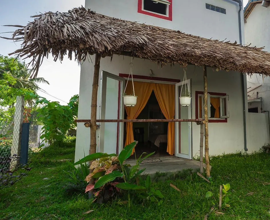 La Terrazza Bed and Breakfast Hội An Vietnam
