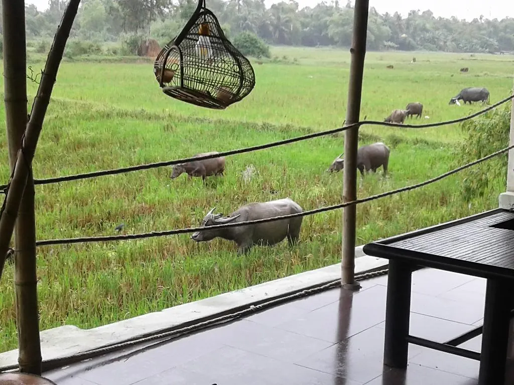 ** Bed & Breakfast La Terrazza Bed and Breakfast Hội An Vietnam
