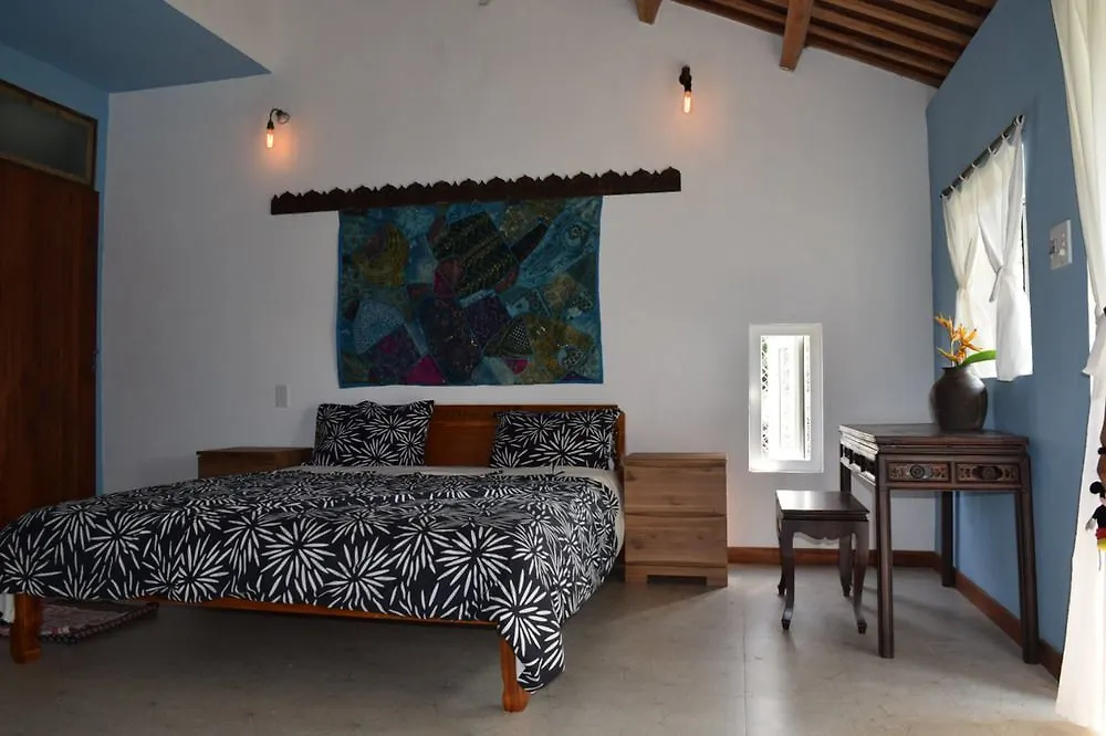 La Terrazza Bed and Breakfast Hội An Vietnam